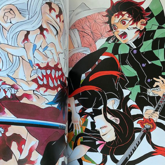 Demon Slayer – Koyoharu Gotoge konstbok - Bild 3
