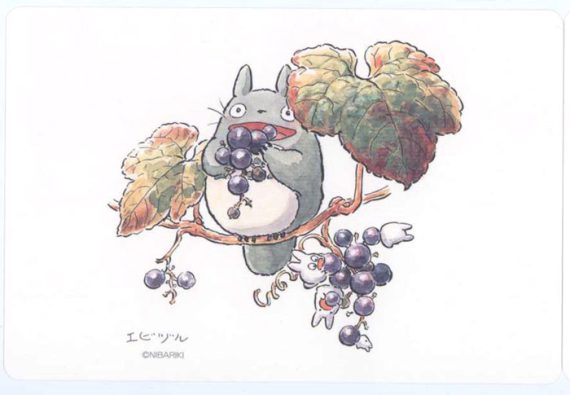Totoro vykort – Vitis ficfolia